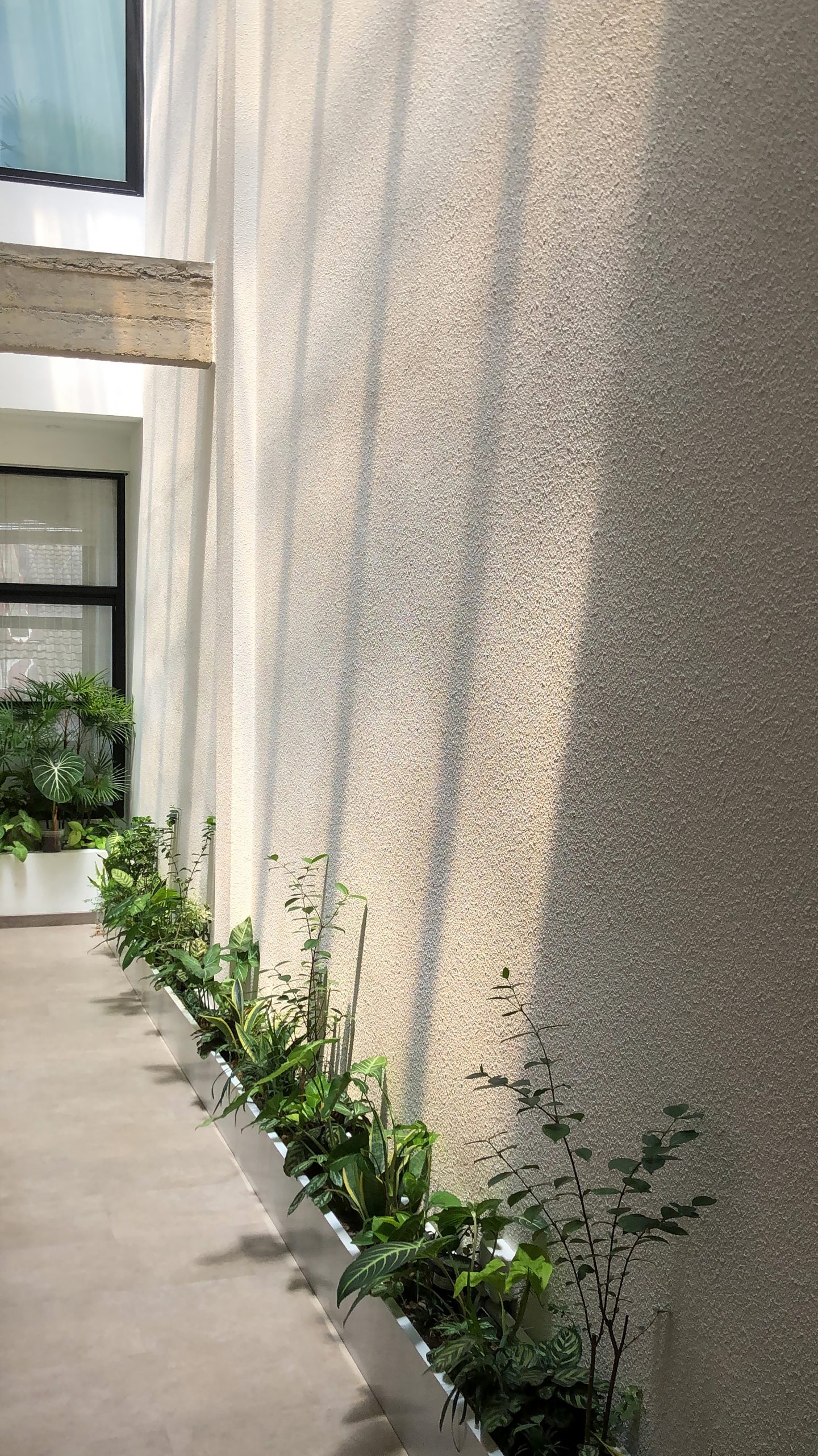 The moment when sunlight falls — architectural photography by atelier bō